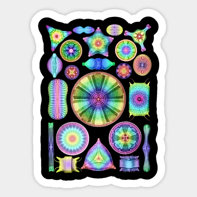 Ernst Haeckel Rainbow Diatoms Sticker by Scientistudio